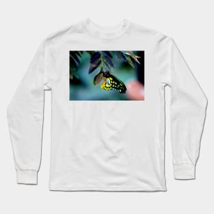 Cairns Birdwing With Eggs Long Sleeve T-Shirt